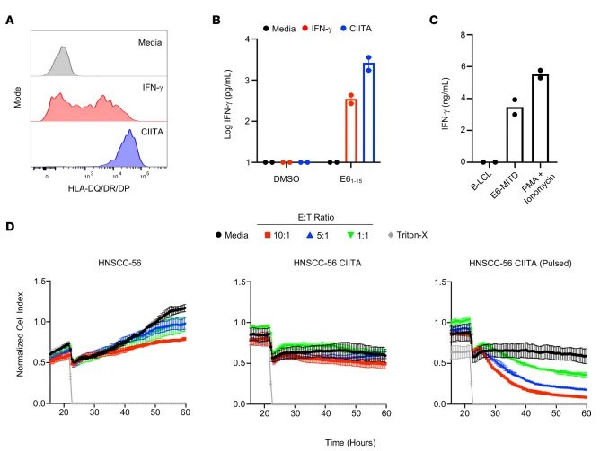 Figure 4. Autologous tumor cells do not present endogenous E61-15 on MHC-II to CD4+ T cells. (A)