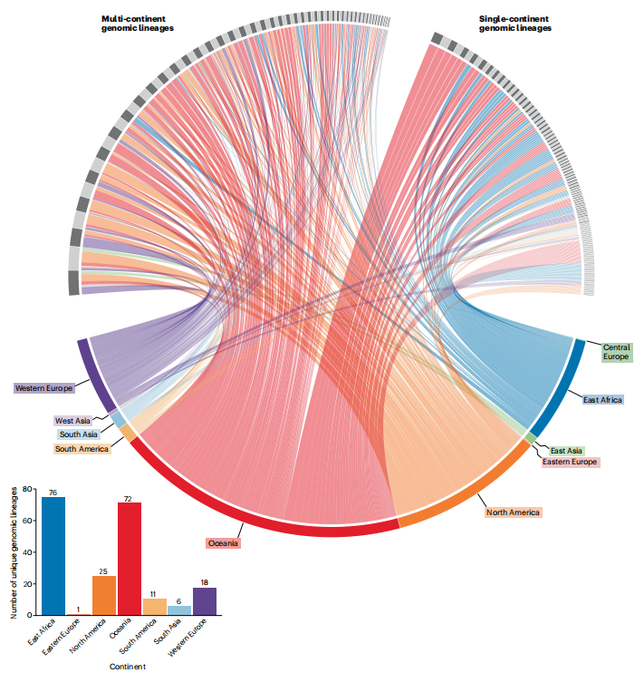 Fig. 3 | Global genetic diversity of GAS.