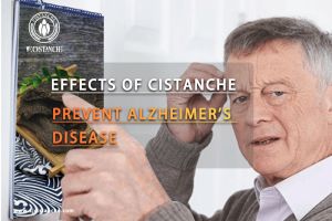 ways to improve memory
