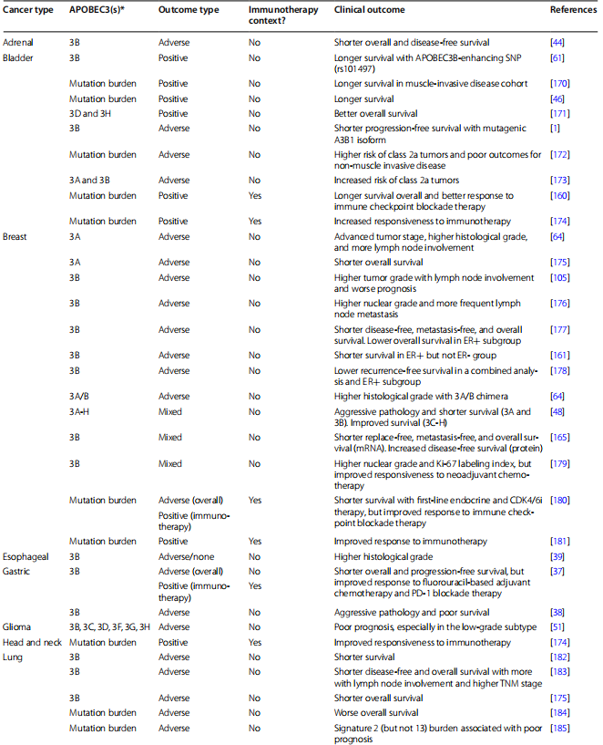 Table 5 Association of APOBEC3 expression and APOBEC3-induced mutations with clinical outcomes by cancer type