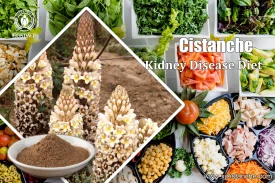 25% echinacoside and 9% acteoside cistanche for kidney 25% echinacoside and 9% acteoside cistanche for kidney