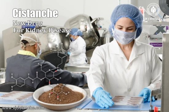 25% echinacoside and 9% acteoside cistanche for kidney 25% echinacoside and 9% acteoside cistanche for kidney