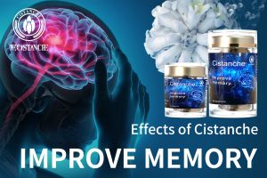improving brain function