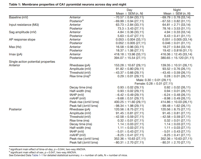 improve cognitive function
