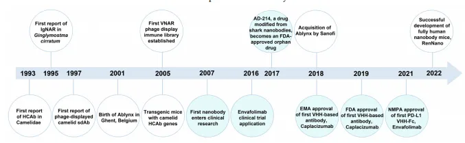 Figure 3. The development of nanobody. The light blue marker indicates the progress of research on nanobody drugs. FDA, Food and Drug Administration; EMA, European Medicines Agency; NMPA, National Medical Products Administration; HCAb, heavy-chain antibody; IgNAR, Ig new antigen receptors; sdAb, single domain antibody; VHH, variable domain of HCAb; VNAR, variable domain of IgNAR; PD-L1, programmed cell death 1 ligand 1. Figure 3. The development of nanobody. The light blue marker indicates the progress of research on nanobody drugs. FDA, Food and Drug Administration; EMA, European Medicines Agency; NMPA, National Medical Products Administration; HCAb, heavy-chain antibody; IgNAR, Ig new antigen receptors; sdAb, single domain antibody; VHH, variable domain of HCAb; VNAR, variable domain of IgNAR; PD-L1, programmed cell death 1 ligand 1.
