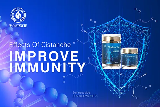 Cistanche deserticola-improve immunity (5) Cistanche deserticola-improve immunity (5)