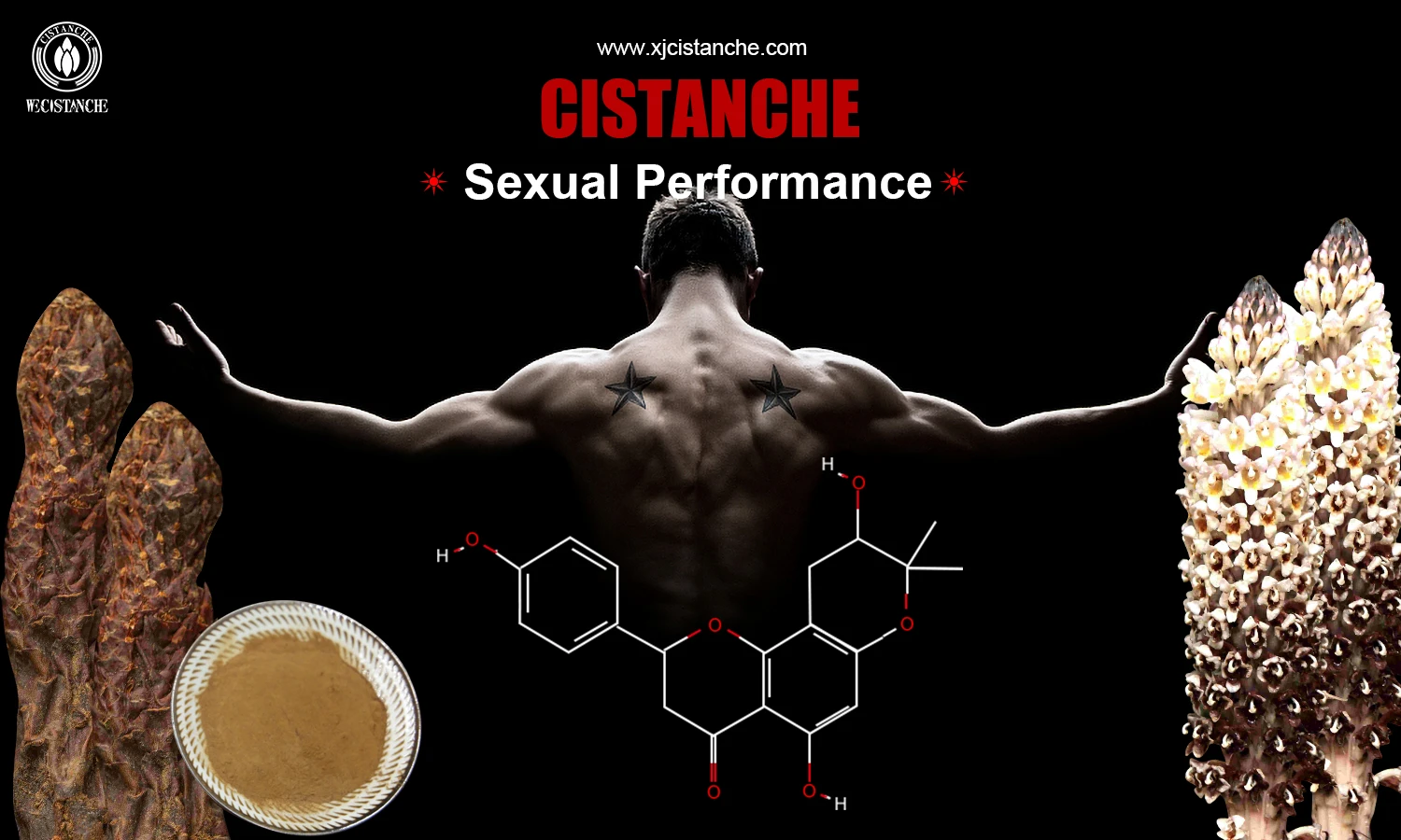 Cistanche extract for improve sexual function