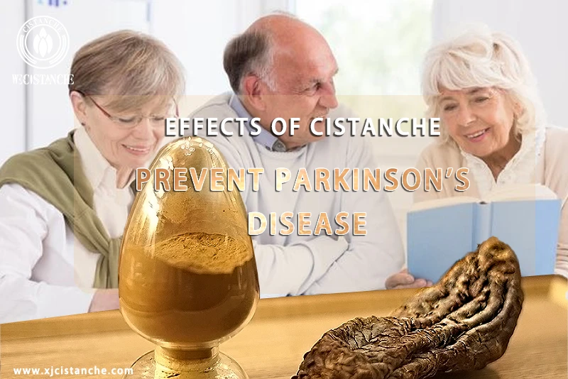 Cistanche tubulosa extract Cistanche tubulosa extract