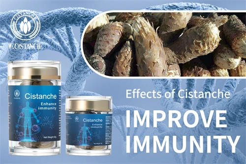 cistanche tubulosa for improving immune function cistanche tubulosa for improving immune function