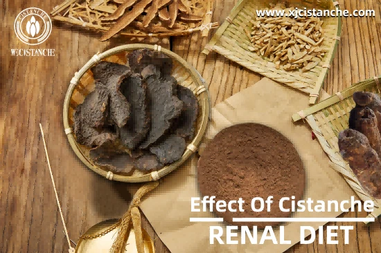 HERBAL CISTANCHE FOR KIDNEY HEALTH HERBAL CISTANCHE FOR KIDNEY HEALTH