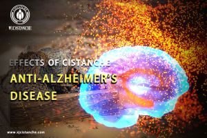 improve cognitive function