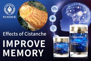 improve your memory
