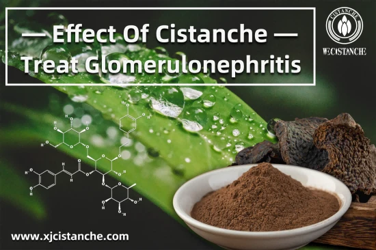 NEW HERBAL CISTANCHE FORMULATION FOR KIDNEY DISEASE NEW HERBAL CISTANCHE FORMULATION FOR KIDNEY DISEASE