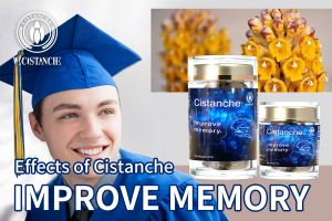 increase brain power