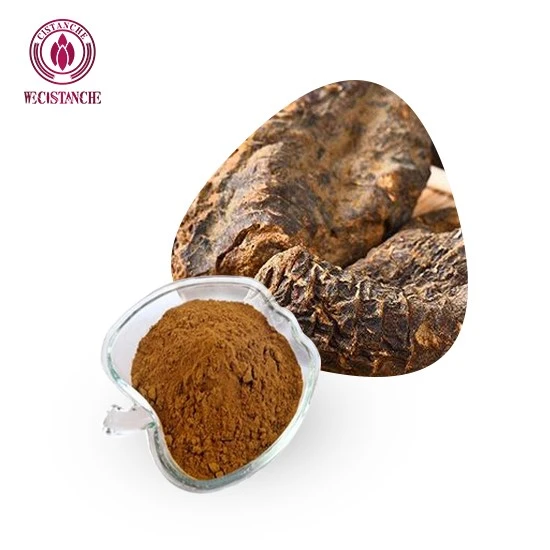 Cistanche Deserticola 추출물