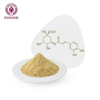 클로로겐산 체중 감소