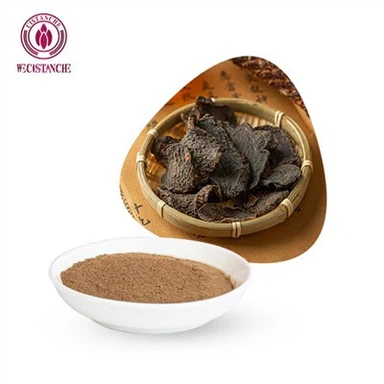 Cistanche Tubulosa 보충제
