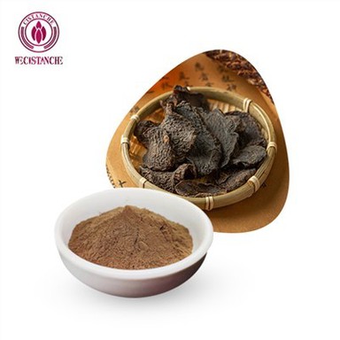천연 Cistanche Echinacoside