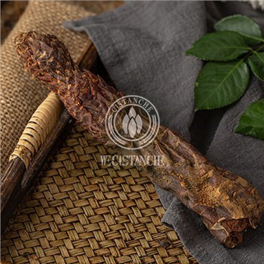 Tonify 신장 Cistanche